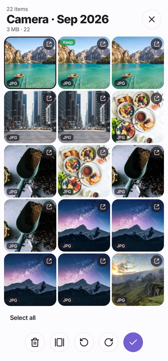 A Camera batch grid with keep and trash marks